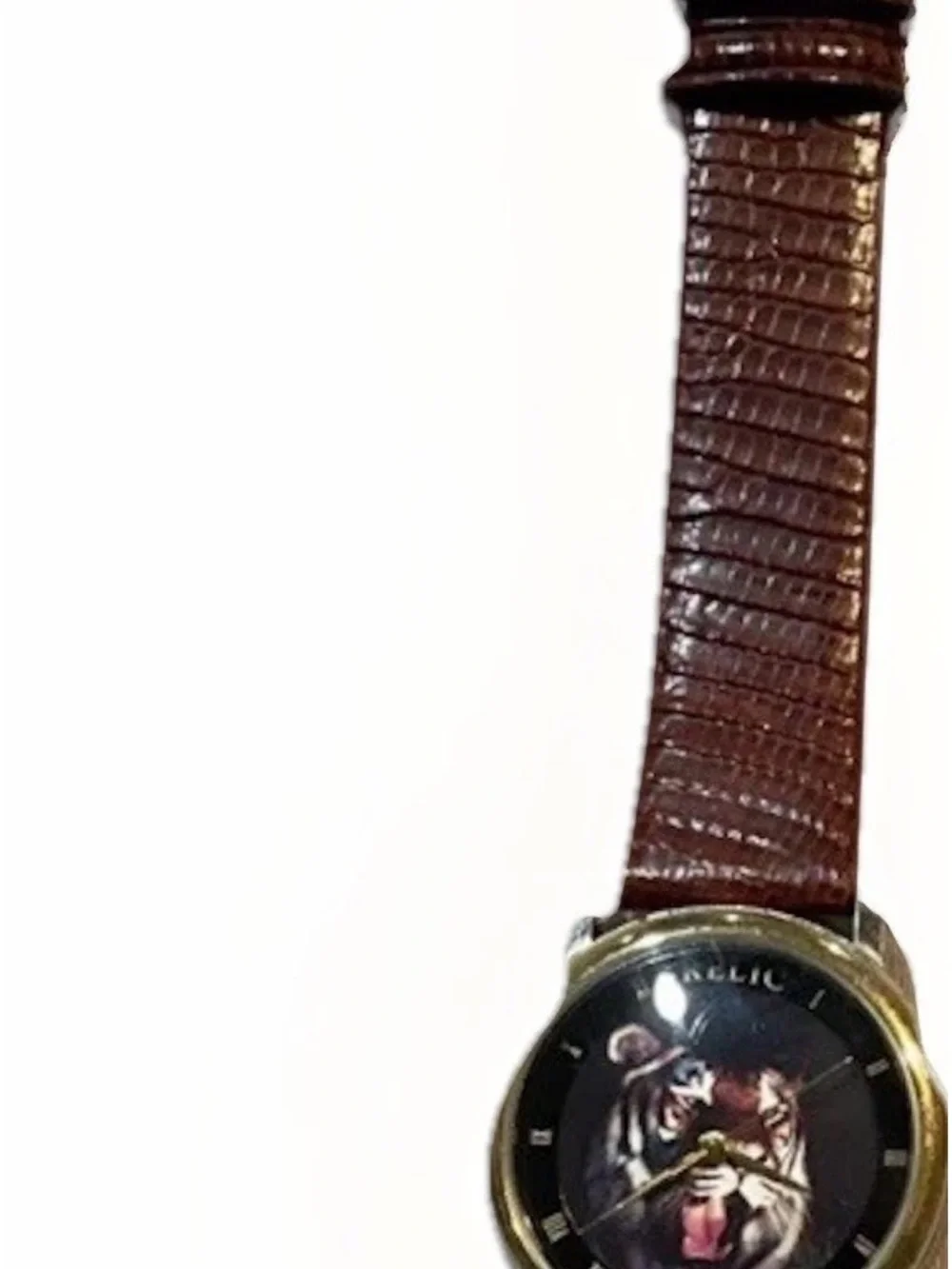 Relic Watch with Brown Leather Strap and Silver Case